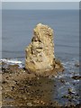 NZ4064 : Sea stack to the south of Marsden Rock by Oliver Dixon