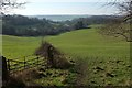 ST7361 : Combe north of Combe Hay by Derek Harper