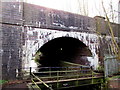 SJ3043 : Afon Eitha railway bridge and footbridge, Ruabon by Jaggery