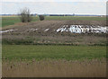 TL4177 : Maize stubble by the Ouse Washes by Hugh Venables