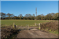 TQ2552 : Mast, Reigate Hill by Ian Capper