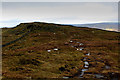 SD7260 : Moorland around Knottend Well by Chris Heaton