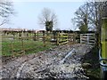 TA1666 : Waterlogged animal pens near Bessingby by Christine Johnstone