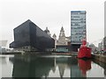 SJ3489 : Looking across Canning Dock, Liverpool by Graham Robson