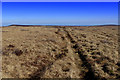  : Boundary Line at Whitewall looking North East by Chris Heaton