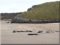 NT6381 : Headland at Bathan's Strand by Oliver Dixon