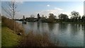 TQ1567 : View down the Thames towards the Albany pub, near Hampton Court by Christopher Hilton