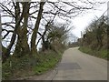 SW4633 : Cornish hedges and banks, Gear Hill, south of New Mill by David Smith