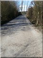 SE4227 : Ings Lane, approaching Newton Lane, Allerton Bywater by Rich Tea