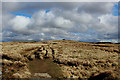 SD8496 : Pennine Way on the Great Shunner Fell Summit Plateau by Chris Heaton