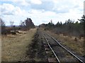 N1517 : Light railway on the Lough Boora Peatlands by Oliver Dixon