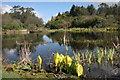 NX1558 : Lochan, Glenwham Gardens by Richard Sutcliffe