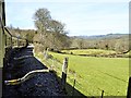 SN6778 : Curve on the Vale of Rheidol Railway near Nantyronen by David Dixon