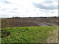 TM1155 : Farmland off Buck's Head Lane by Geographer