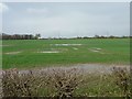 SE5460 : Waterlogged farmland, north of Shipton Grange by Christine Johnstone