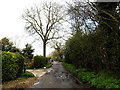 TM1854 : Allotment Lane, Ashbocking by Geographer