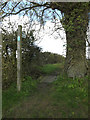 TM1452 : Footpath off Bull's Road by Geographer