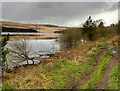 SE0019 : Baitings Reservoir, Shore Path by David Dixon