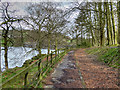 SE0218 : Path Around Ryburn Reservoir by David Dixon