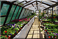 SP2866 : Hintons Nursery and Plant Centre by Stephen McKay