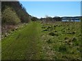 NS3875 : Brucehill Cliffs and Havoc Grassland by Lairich Rig