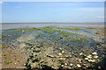 SJ1482 : The Dee Estuary at Ffynnongroyw by Jeff Buck