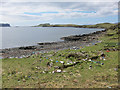 NG3337 : Ruins on the shore, Struanbeg by Richard Dorrell