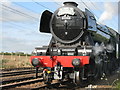 NT5179 : Flying Scotsman at Drem by M J Richardson