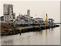 SJ4982 : Francis Flower Northern Minerals Recycling Plant at Runcorn by David Dixon