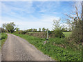 SP3000 : Footpath along Marsh Lane by Des Blenkinsopp