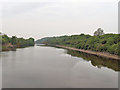 SJ3978 : Manchester Ship Canal Manisty Cutting by David Dixon