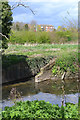 SP3779 : Outfall to the River Sowe from Wyken, Coventry by Robin Stott