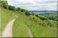 TQ1350 : Path, Denbies Hillside near Dorking by Alan Hunt