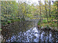 NY5661 : Pond in Miltonrigg Woods by Rose and Trev Clough