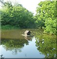 TQ5509 : Duck House in Michelham Priory moat by Rob Farrow