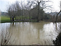 SP2965 : A near flood, River Avon, southeast Warwick by Robin Stott