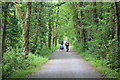 SH7118 : The Mawddach Trail near Dolgellau by Jeff Buck