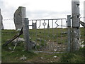 NB2232 : Gate at Calanais II or Cnoc Ceann a' Gharaidh by M J Richardson