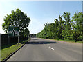 TL8882 : A1066 Thetford Road & Roadsign by Geographer