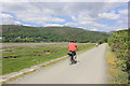 SH6718 : The Mawddach Trail by Jeff Buck