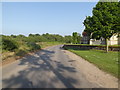 TL9383 : Brettenham Road, Brettenham by Geographer