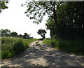 TM1051 : Bridleway to Chalk Hill Lane by Geographer