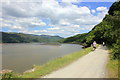 SH6617 : The Mawddach Trail by Jeff Buck