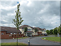 SO8014 : Chestnut Court, Quedgeley, Gloucestershire by Christine Matthews