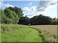 SJ8542 : Ferndown LNR by Jonathan Hutchins