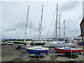 NS2975 : Yachts at James Watt Dock by Thomas Nugent