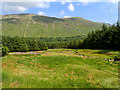 NM6434 : Allt Coire Ghaibhre by Mick Garratt