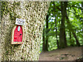 J0419 : Fairy door, Slieve Gullion by Rossographer