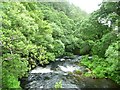 SN9186 : Afon Clywedog alongside Gelli Wood by Christine Johnstone