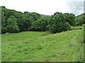 SN7898 : The valley of Afon Dulas, looking west by Christine Johnstone